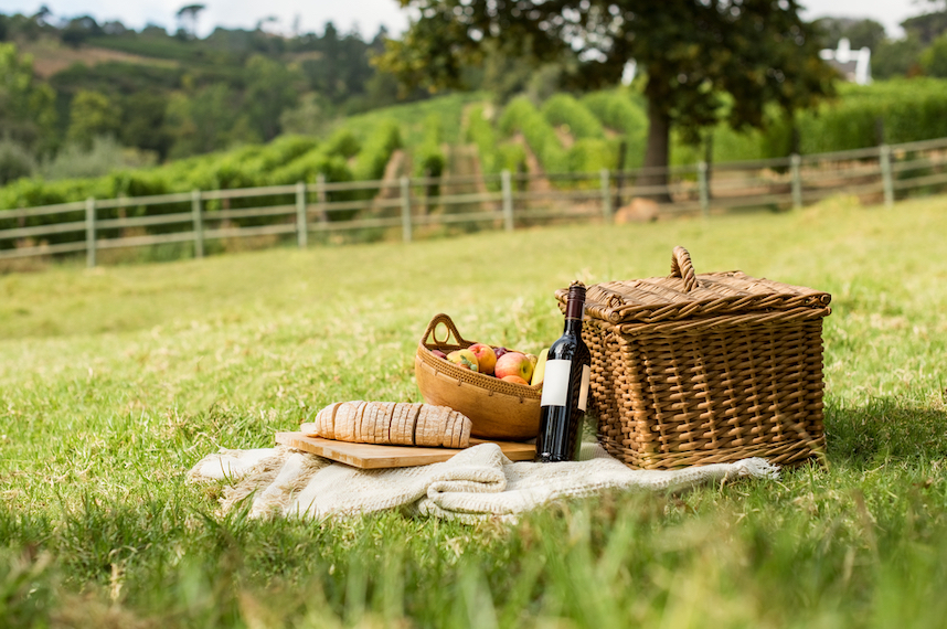 Weine zum Picknick: die idealen Begleiter f�r das Mittagessen im Freien